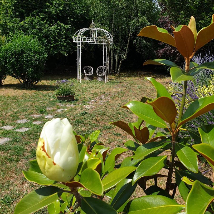 La Maison Des Thermes, Chambre D'Hote Saintes Kültér fotó
